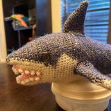Shilah review photo