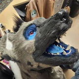 Aiden review photo