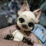Jazzy review photo