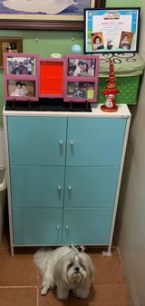 Jen Ching review photo