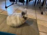 Emilie review photo