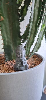 Patricia review photo