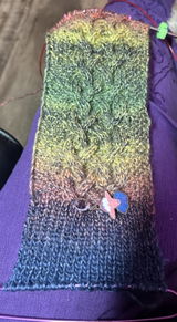 Carol Schlintz review photo