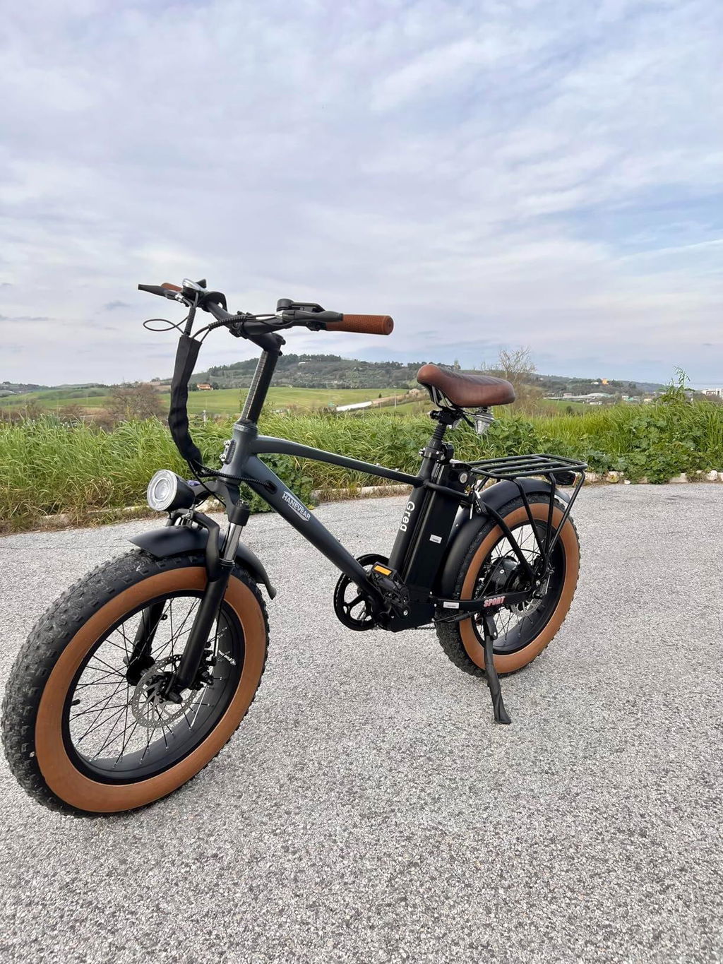 Hanevear Greg Electric Mountain Bike All Terrain