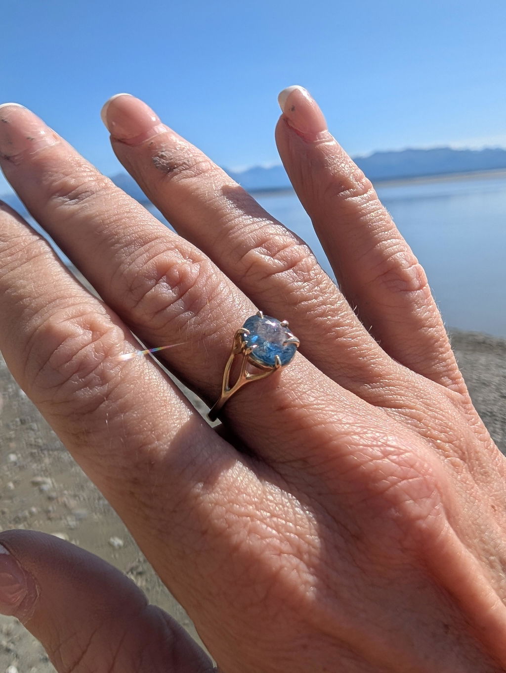 Daybreak Montana Sapphire Branch Ring