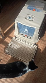 Irene review photo