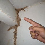 Narendra review photo