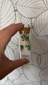 Meegan review photo