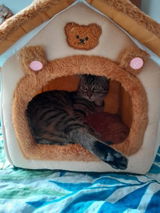 Eloise review photo