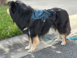 Ivan review photo