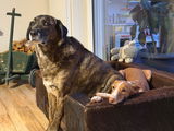 Angela Bern mit Tom und Jackson review photo