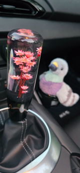 PigeonMan review photo