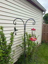 Marissa S review photo