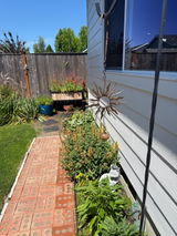 Debi K review photo