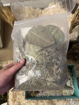 Ari A. review photo
