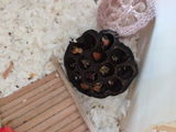 Tracy K. review photo