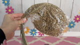 HoppingHammy review photo