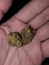 Kubz review photo