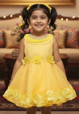 Amisha Reddy review photo