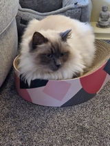 Michelle S. review photo