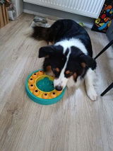 Esme review photo