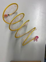 Amber review photo