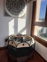 Layla review photo