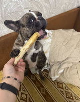 Alaric K. review photo