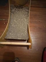 Meret R. review photo