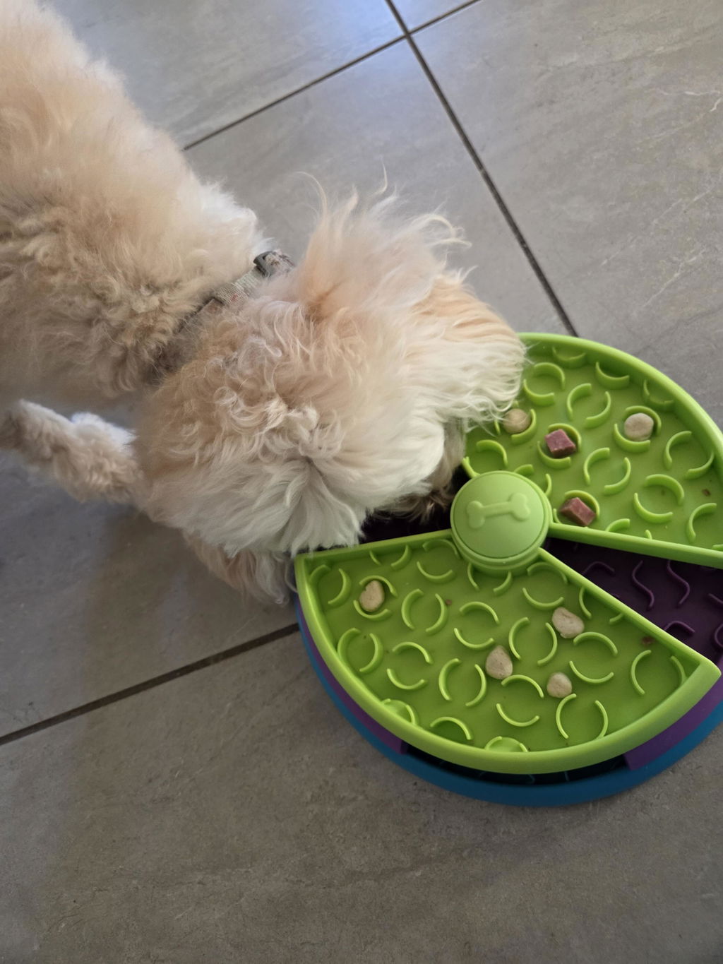 SniffSpin