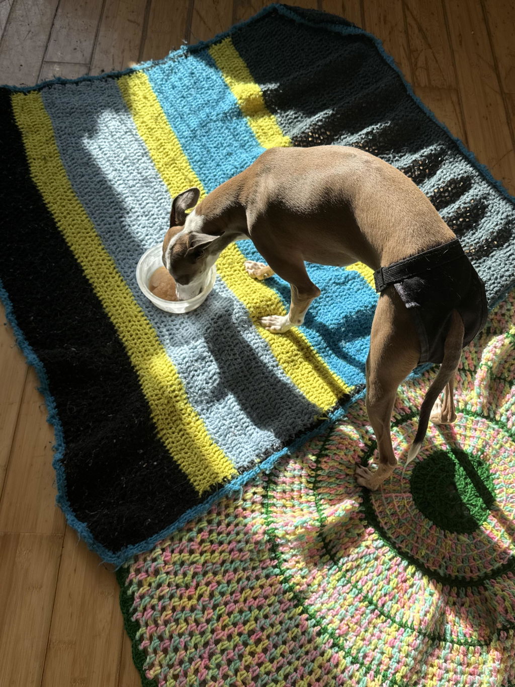 TailWrap
