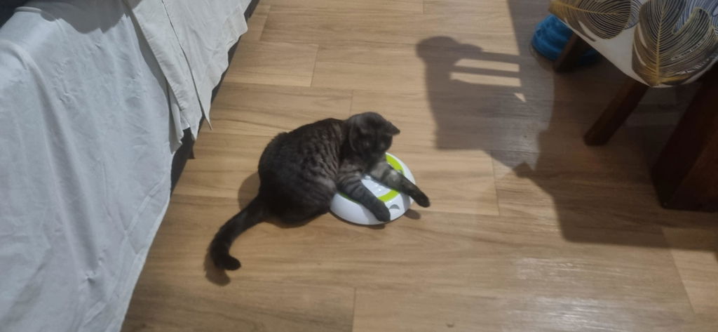 PouncePixie