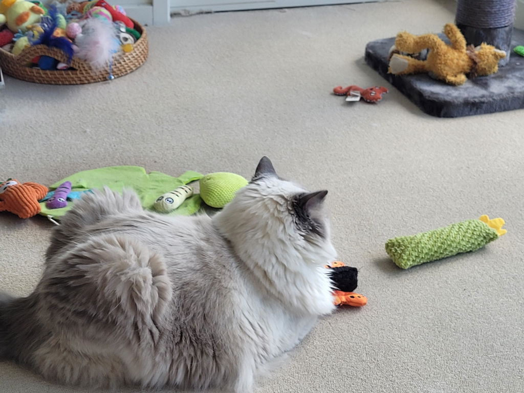 WingHunt