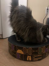 Adri review photo