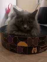 Adri review photo