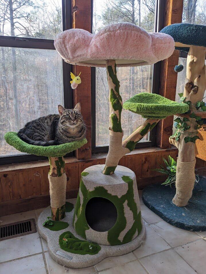 Enchanted Blossom Solid Wood Cat Tree