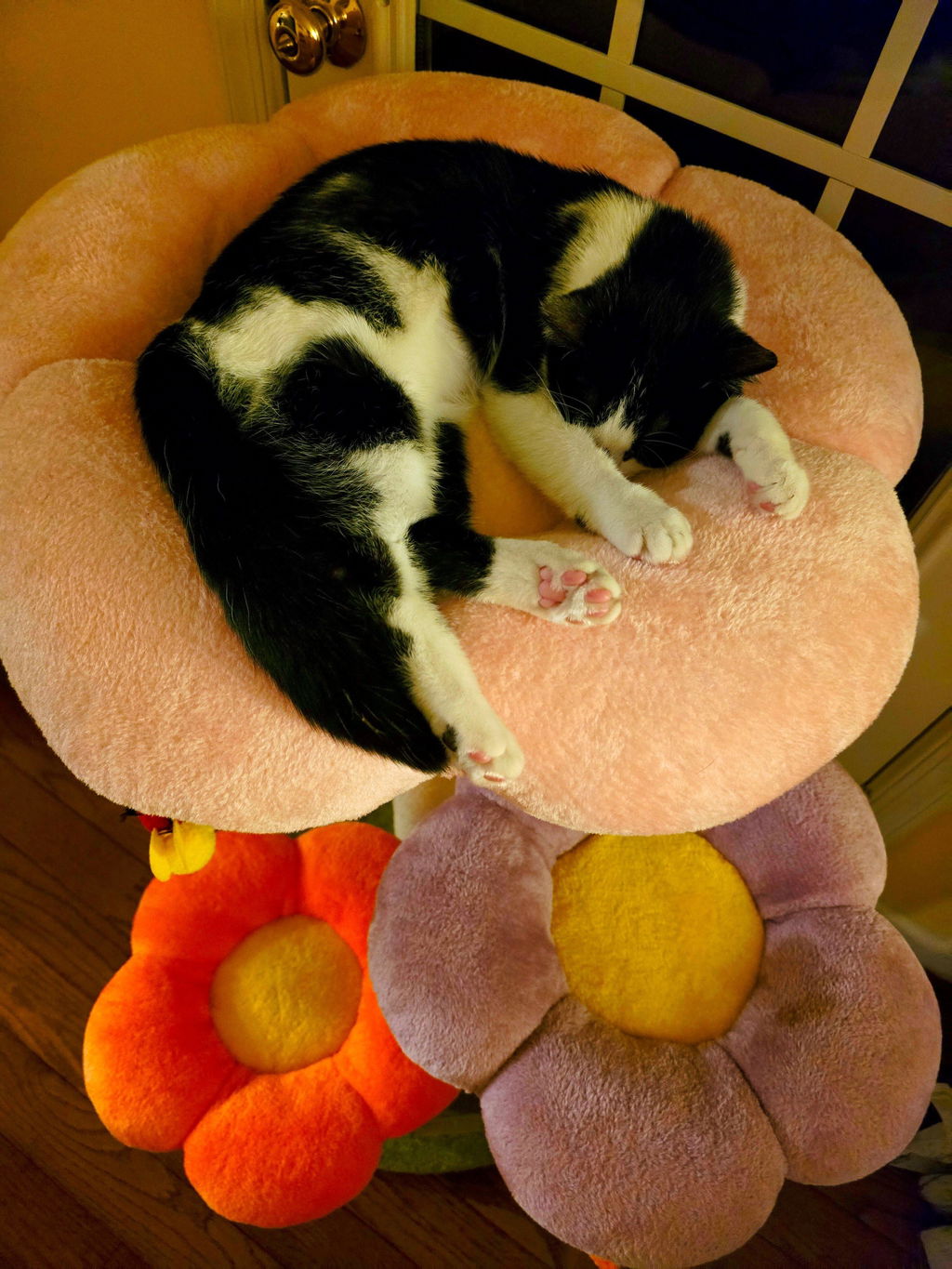 Three Flower Cat Tree