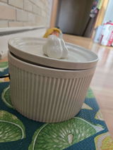 Jessie Lutter review photo