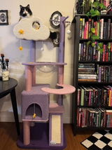 Mindy Jones review photo