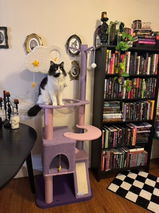 Mindy Jones review photo