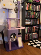Mindy Jones review photo
