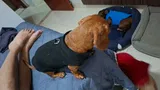 المتسوق في AliExpress review photo