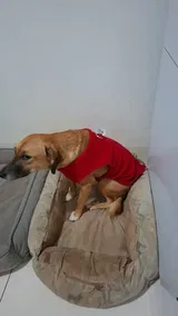 المتسوق في AliExpress review photo