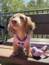 Desirae Pepperdine review photo