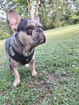 Cookie & Susy Santibanez review photo