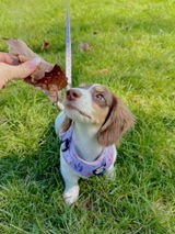 Maddie review photo
