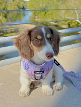 Maddie review photo