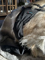 K9 TailSaver® Set