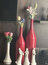 Nirmala menezes review photo