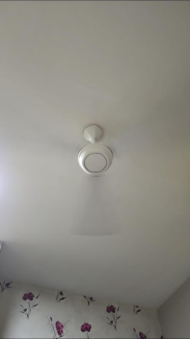 timhock review photo